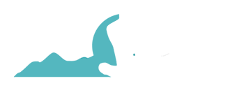 Spy Root Services
